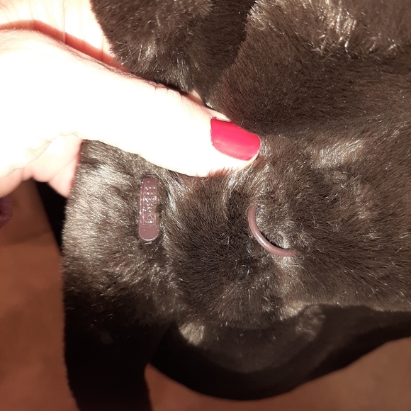 east 5th faux fur coat - Picture 8 of 13